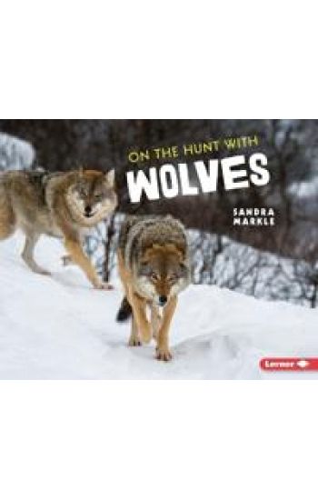 On the Hunt with Wolves