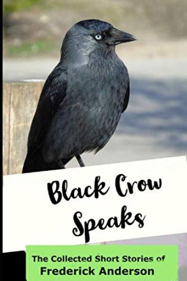 Black Crow Speaks: The Short Stories of Frederick Anderson
