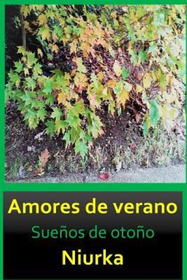 Amores de Verano: Sue