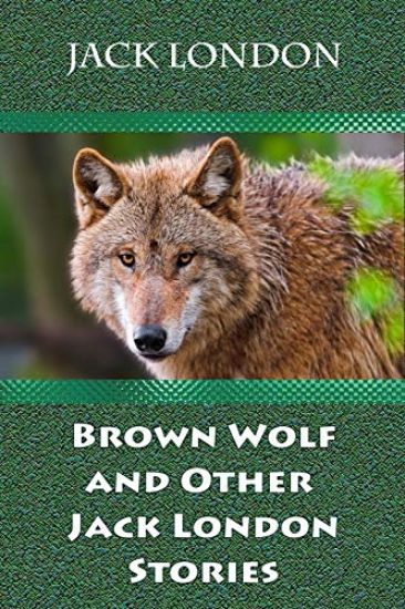 Brown Wolf and Other Jack London Stories