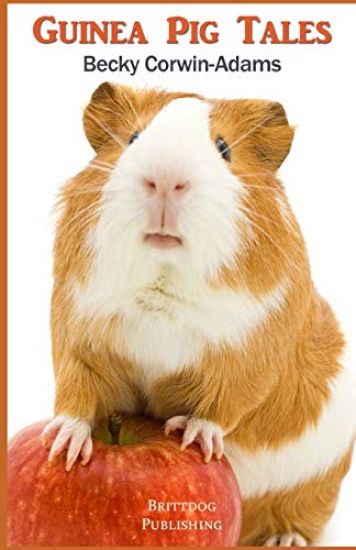 Guinea Pig Tales