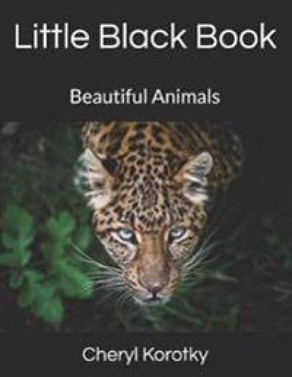Little Black Book