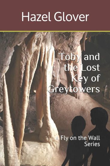 Toby and the Lost Key of Greytowers: A Fly on the Wall Series