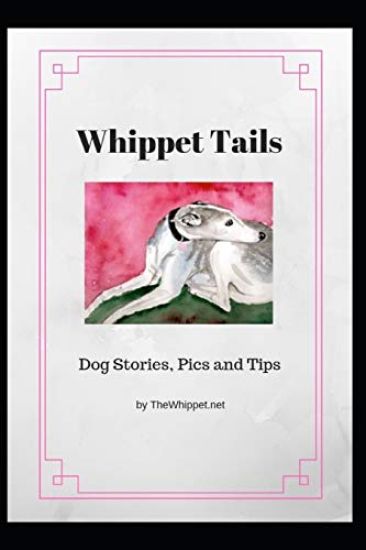 Whippet Tails: Dog Stories, Pics and Tips