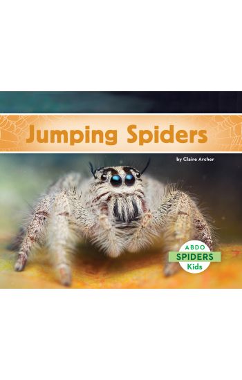 Jumping Spiders