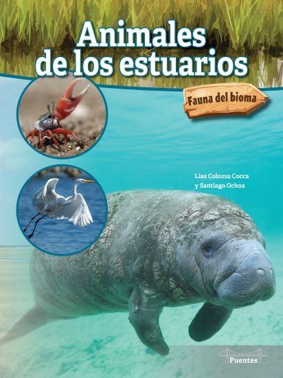 Animales de Los Estuarios: Estuary Animals