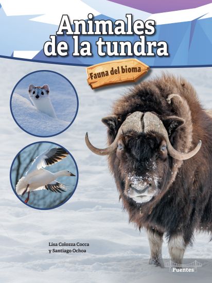 Animales de la Tundra: Tundra Animals