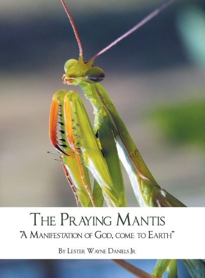 The Praying Mantis