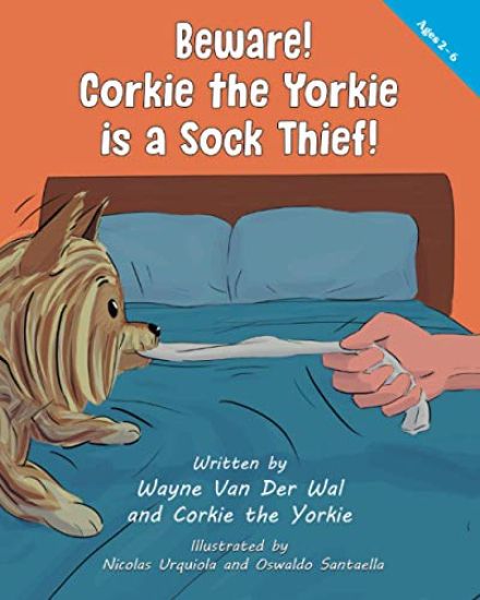 Beware! Corkie the Yorkie is a Sock Thief!