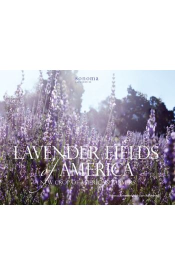 Lavender Fields of America