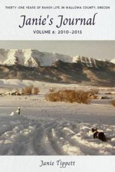 Janie's Journal, volume 6