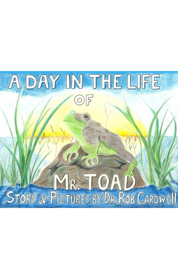 A Day in the Life of Mr. Toad