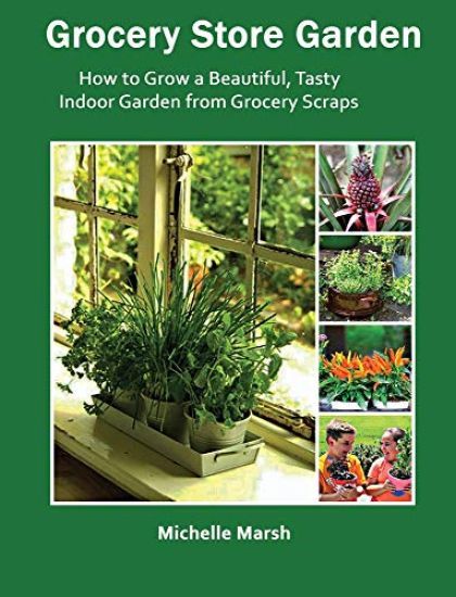 Grocery Store Garden: How to Grow a Beautiful, Tasty Indoor Garden from Grocery Scraps