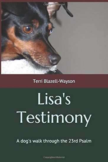 Lisa's Testimony