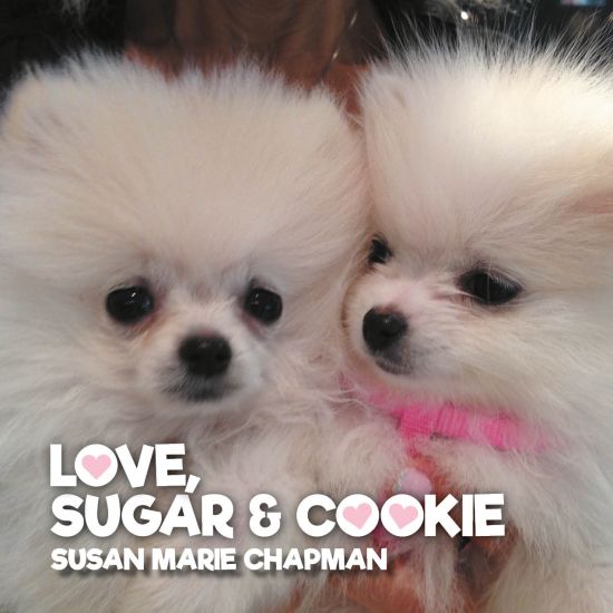 Love Sugar & Cookie