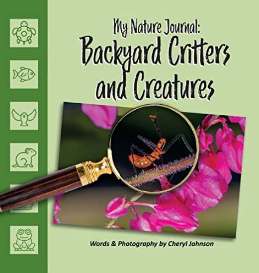 Backyard Critters and Creatures
