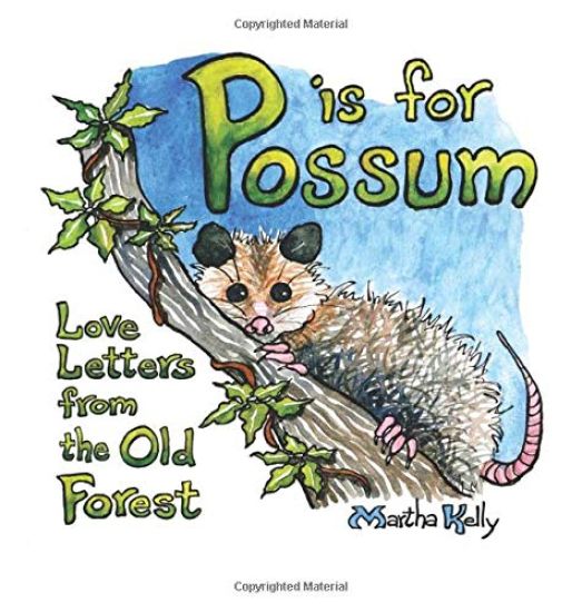P is for Possum: Love Letters from the Old Forest