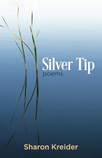 Silver Tip