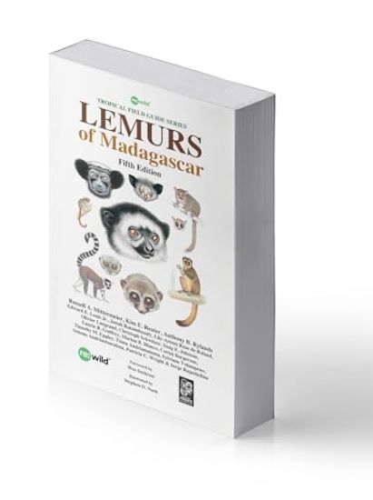 Lemurs of Madagascar