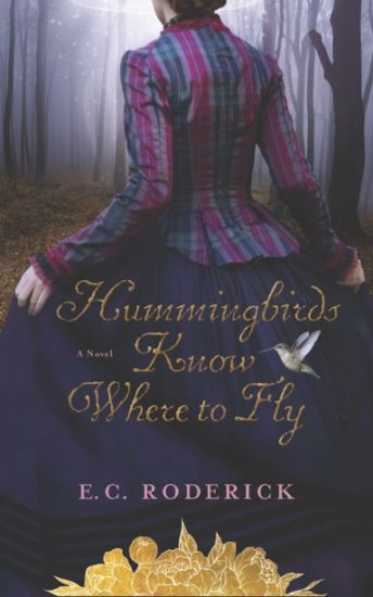 Hummingbirds Know Where to Fly