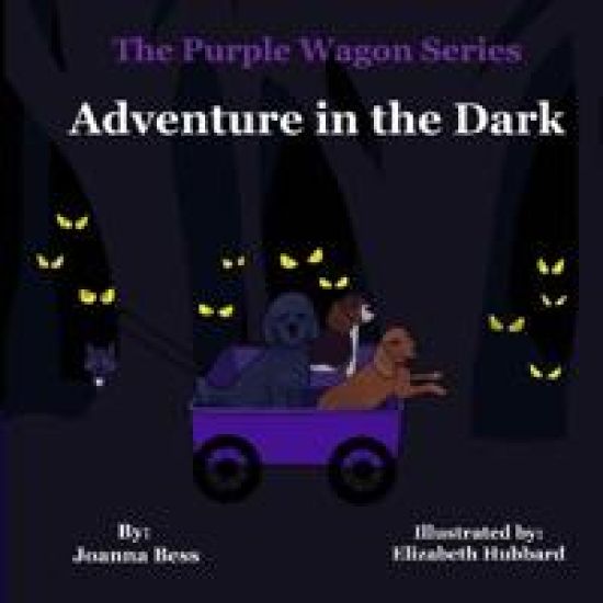 Adventure in the Dark