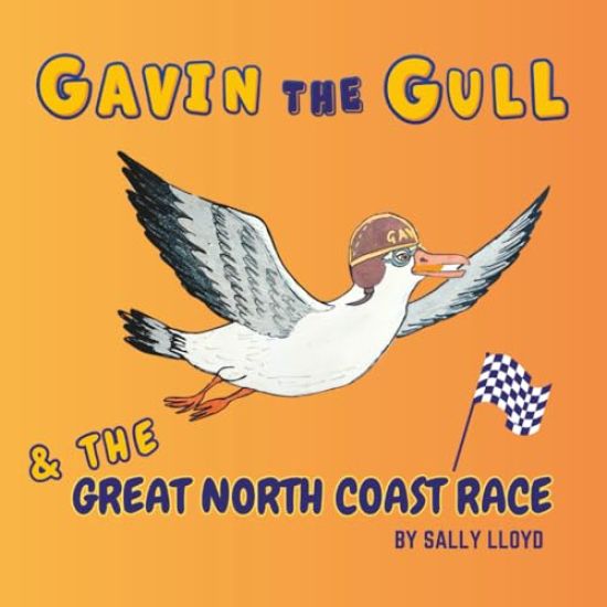 Gavin the Gull and The Great North Coast Race