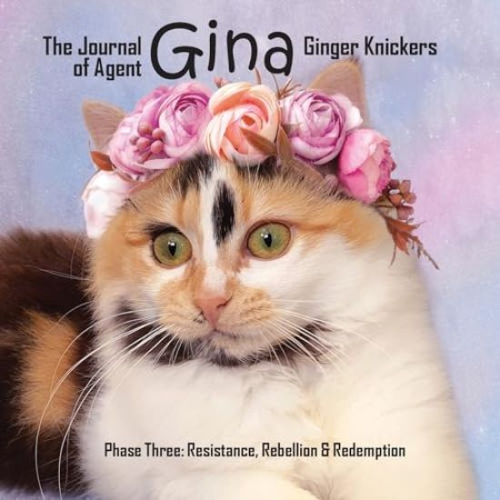 The Journal of Agent Gina Ginger Knickers Phase Three