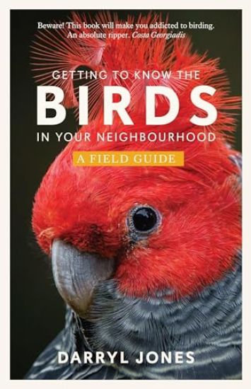 Getting to Know the Birds in Your Neighbourhood