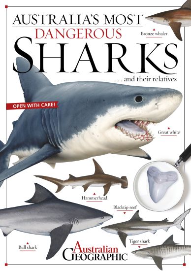 Aus Most Dangerous Sharks