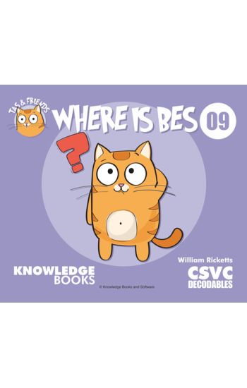 Where Is Bes?: Book 9