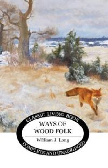 Ways of Wood Folk