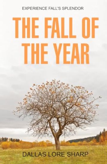 The Fall of the Year