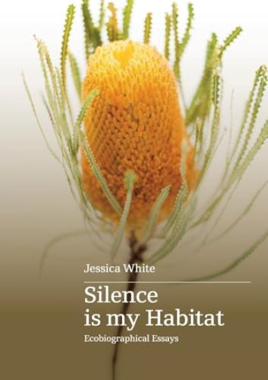 Silence is my Habitat