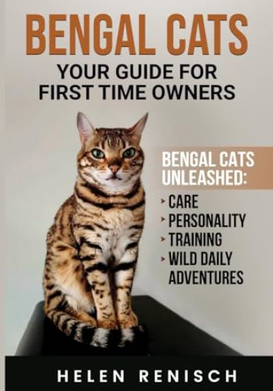 Bengal Cats your Guide for First Time Owners