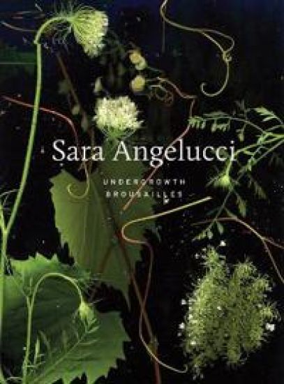 Sara Angelucci: Undergrowth / Brousailles