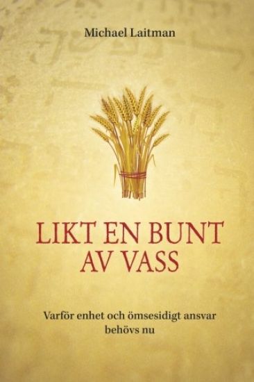 Likt en bunt av vass: Varför enhet och ömsesidigt ansvar behövs nu