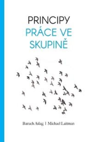 Principy Pr?ce Ve Skupine
