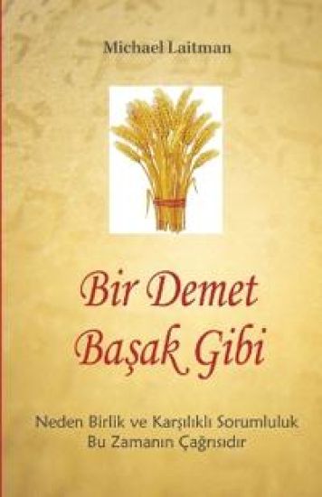 Bir Demet Basak Gibi