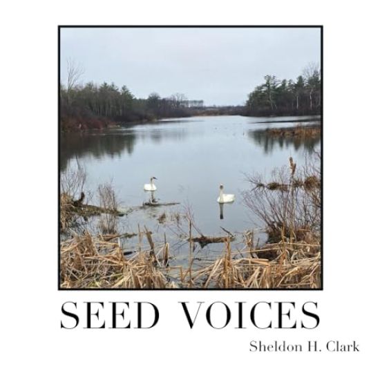 Seed Voices