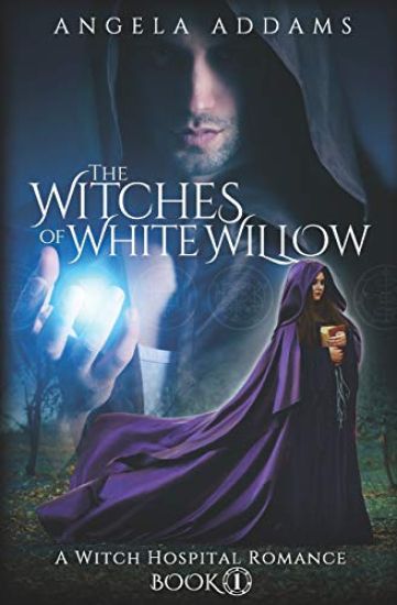 The Witches of White Willow: A Witch Hospital Romance