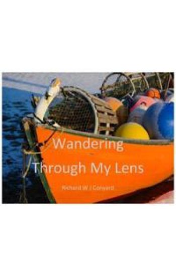 Wandering Through My Lens