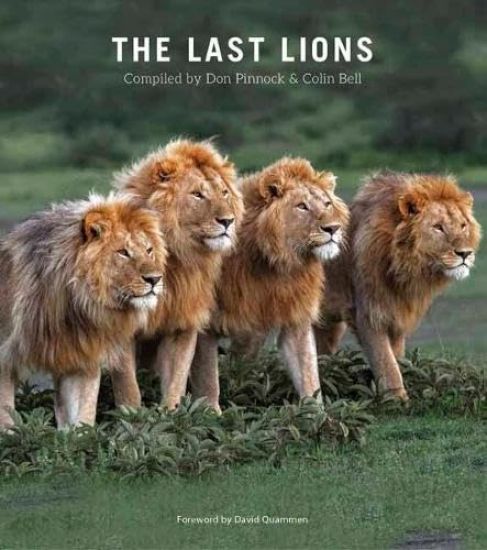 Kansikuva: The Last Lions