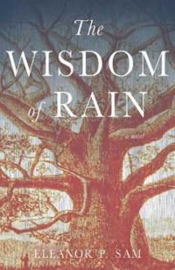 The Wisdom of Rain