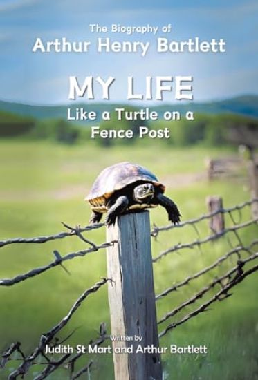 My Life like a Turtle on a Fence Post
