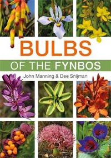 Bulbs of the Fynbos