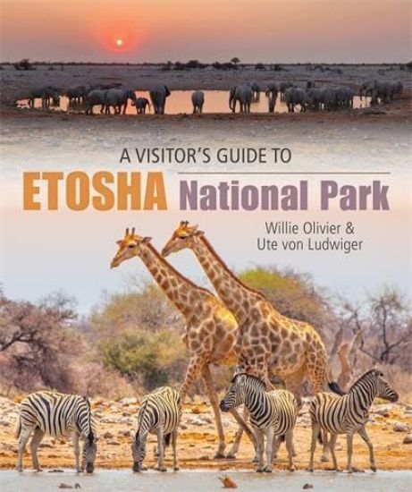 A Visitor's Guide to Etosha National Park