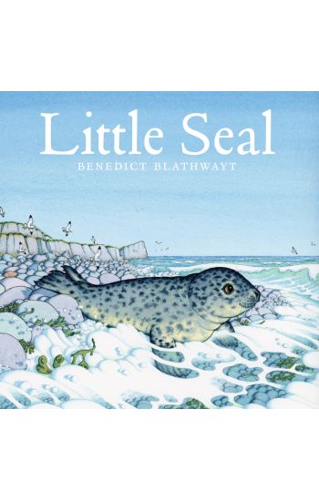 Little Seal