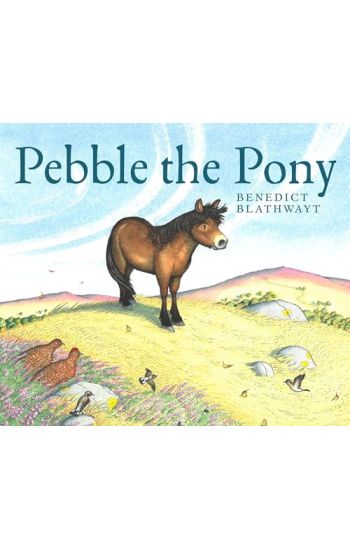 Pebble the Pony