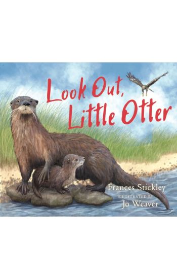 Look Out, Little Otter