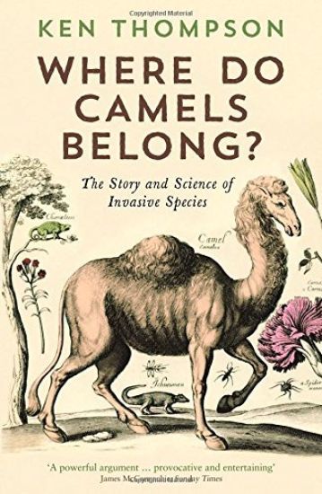 Kansikuva: Where Do Camels Belong?